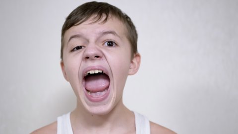 Irritated Child Screams loudly looking at the Camera. Portrait of an angry, screaming boy with an open mouth, a smirk on lips. Emotional outburst. Shock, stress. Release of negative emotions. Fury.