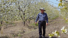 senior farmer worker with hat goes walk in to inspected its flowering orchard. old farmer with a blooming orchard in the background - Powered by Shutterstock - Get 15% off with code: PIKWIZARD15
