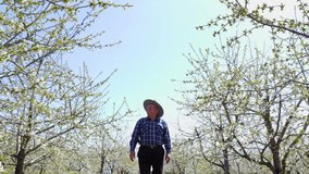 senior farmer worker with hat goes walk in to inspected its flowering orchard. old farmer with a blooming orchard in the background - Powered by Shutterstock - Get 15% off with code: PIKWIZARD15