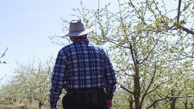 rear view of senior farmer worker goes home after inspected its flowering orchard. old farmer with a blooming orchard in the background - Powered by Shutterstock - Get 15% off with code: PIKWIZARD15