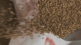 Vertical Video. Closeup of Buckwheat Groats Pouring from Metal Spoon into Sack. Slow Motion. Healthy Organic Food and Grocery Shopping Concept - Powered by Shutterstock - Get 15% off with code: PIKWIZARD15