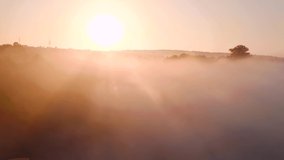 Spectacular summer landscape with thick morning fog. Footage from a bird's eye view. Location place Dniester canyon, Ukraine, Europe. Cinematic drone shot. Filmed in UHD 4k video. Beauty of earth.