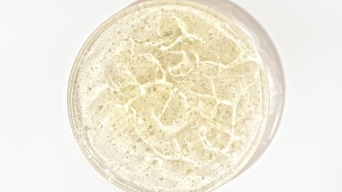 Rotation of Transparent yellow Cosmetic Gel Fluid with Bubbles in a glass bowl of Petri. Macro Shot Serum, Cream, hyalurinic acid. Organic cosmetics, medicine. Concept Skin care.