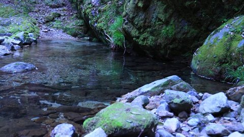 Mossy rocks and a beautiful stream of pure murmuring