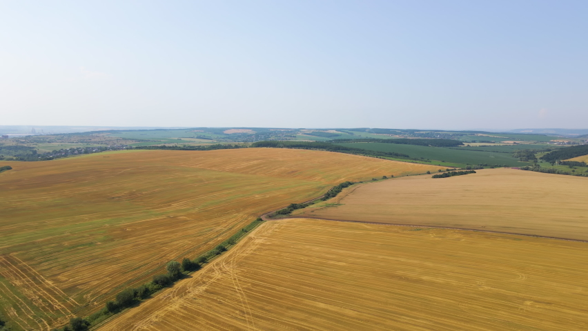 Aerial landscape view of yellow cultivated agricultural field with dry straw of cut down wheat after harvesting