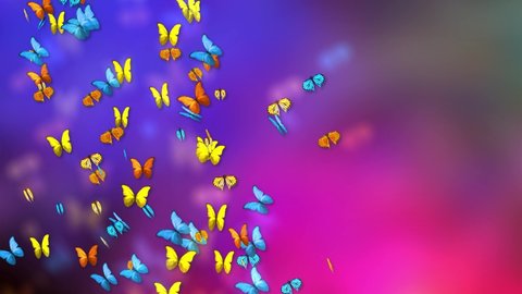 Flying butterflies. Colorful butterfly loop green screen background. Spring and summer insects. for wedding, birthday, holiday, Valentine and other special, music, magic, kid, art or business
