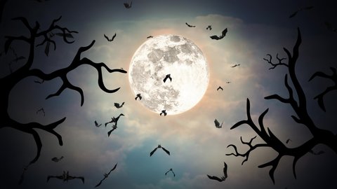 Halloween black flying bats Loop animation on a green background horror, Halloween, grunge, fairy-tale, fantasy, magic and witchery projects as dramatic, spooky and scary background