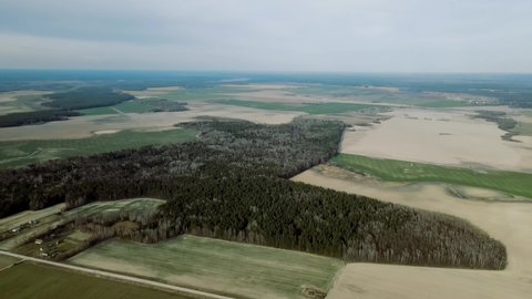 Top View.Small forest among the fields. Grodno, Belarus