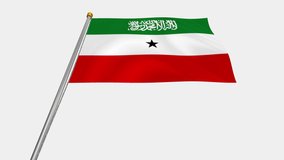 A loop video of the Somaliland flag swaying in the wind from below.