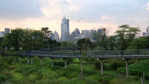 Bangkok, Thailand-April 6, 2022: Bangkok New Central Forest Park (Benjakitti Forest Park) locates in the central part of Bangkok. It’s also a new tourist attraction. There is a skybridge.