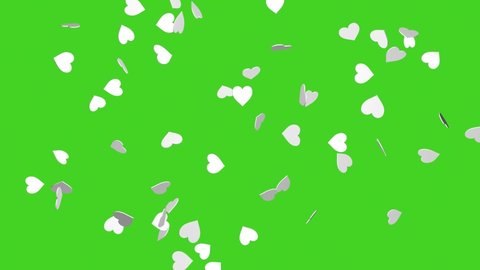 Falling white hearts on a chroma key background. 3D rendering of animation. Video effect for valentine's day and weddings. Green screen. Rain from hearts.
