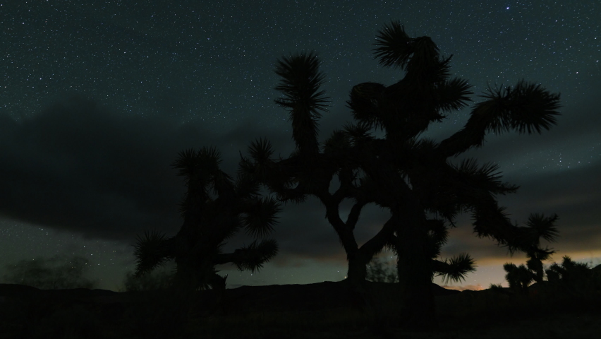 Time lapse night to day transition of Milky Way to sunrise thru Joshua Tree in Mojave desert in California