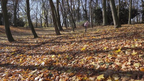 On a fall morning, a girl is jogging in a city park.