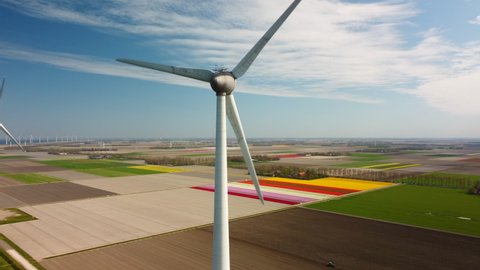 Aerial view on wind turbines on a levee with blossoming tulips in the background in Flevoland on the IJsselmeer coast in The Netherlands