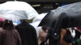 OSAKA, JAPAN - MAY 2021 : Back shot and unidentified crowd of people with umbrella, walking at the zebra crossing in rain. Slow motion shot. Japanese rainy season and city lifestyle concept video. - Powered by Shutterstock - Get 15% off with code: PIKWIZARD15
