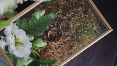 Composition with gold wedding rings on thuja tree leaves in glass box extreme closeup. Bridal jewelry accessories in eco friendly style. Natural design