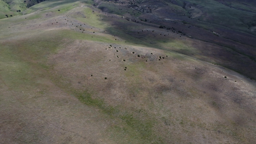Caliente Range Foothills, Carrizo Plains National Monument