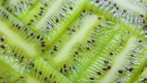 green citrus fruit slices of kiwi on rotating surface, close up top view, macro. Summer, tropical, natural, exotic and healthy food concept