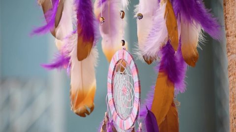 Close up shot of dream catcher on  tree with vibrant tone. Hand made craft. Dreamcatcher feathers flowing in wind. Decoration of home