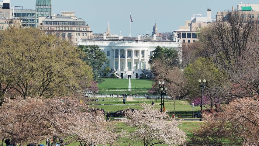Sunny view of The White House at Washington DC