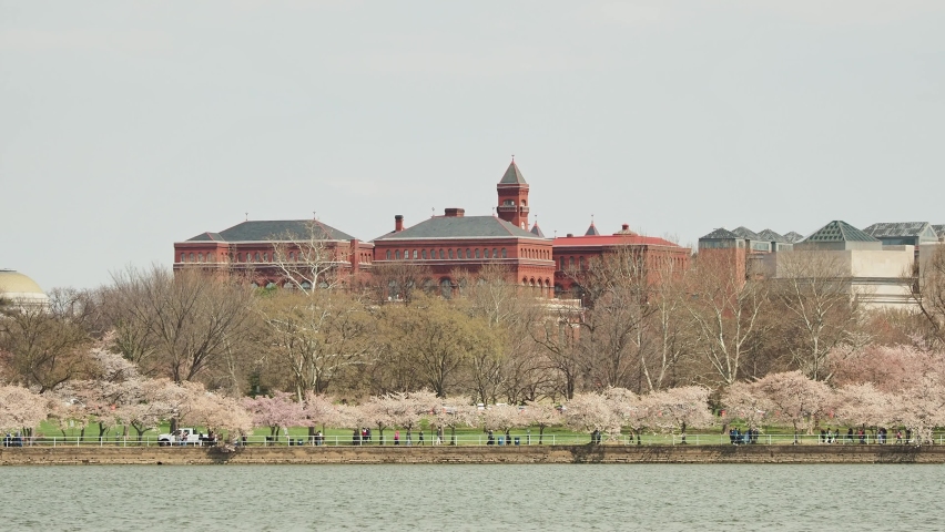 Beautiful Smithsonian Castle with cherry blossom at Washington DC