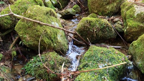 Mossy rocks and a beautiful stream of pure murmuring