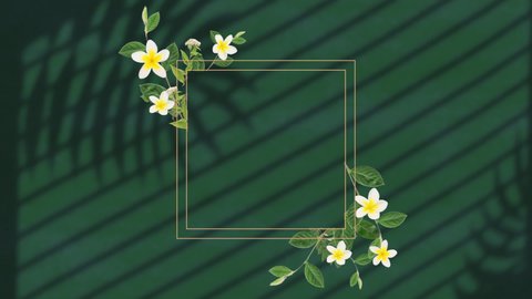 Animation Frame Flowers Over Leaf Shadow Stock Footage Video (100% ...