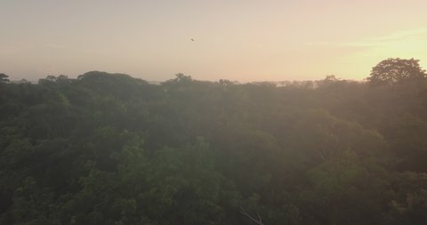 Morning sunrise aerial landscape of rainforest in Refugio de Vida Silvestre Cano Negro, Costa Rica Wilderness