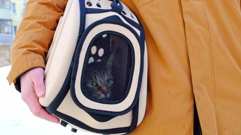 The cat is sitting in a carrier bag on the street in winter in the hands of a man and looks fearfully through the net. Moving a pet, visiting a veterinarian, convenience and safety