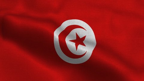 National flag of Tunisia waving original size and colors 4k 3D Render