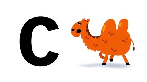 C letter big black like camel cartoon animation. Animal loop. Educational serie with bold style character for children. Good for education movies, presentation, learning alphabet, etc...