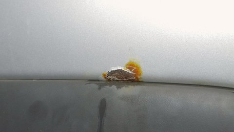 paint rust and corrosion on the car with a brush, repair work of the car body