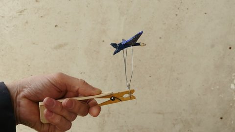 bird small mechanical toy on a clothespin in a person's hand