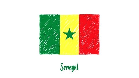 Senegal Flag Marker Whiteboard or Pencil Color Sketch Looping Animation