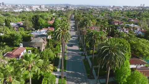 Aerial Drone Footage of Beautiful Palm Tree-Lined Beverly Hills Street on Sunny California Day