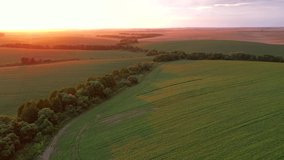 Magic view over agrarian lands in the evening light. Footage from a bird's eye view. Location place agrarian region of Ukraine, Europe. Cinematic drone shot. Filmed in UHD 4k video. Beauty of earth.