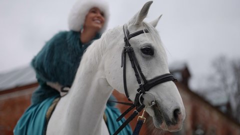 cute white horse in equine yard, closeup of muzzle, pretty woman is sitting on back of animal