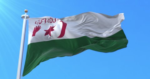 Flag of the Algerian nationalists in 1945, Sétif revolt, Algeria. Loop
