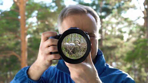 man photographing water birds on a lake shore. White swan reflection in camera lens