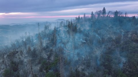 Drone footage of picturesque sunrise over wildfire in mountainous landscape. Devastating disaster for large sequoia trees. High quality 4k footage