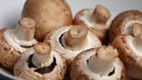 Champignon mushrooms. Fresh raw mushrooms lie in a plate, camera pans. Top View champignon on plate, close-up.