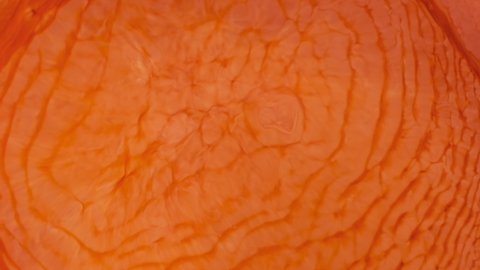 Close-up, orange paint in motion abstract background. Orange backdrop with space for text. Flowing hot volcanic magma, lava boils. Sunny fluid art 4k footage. Solar, fiery liquid paint dynamic mixed