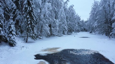 Peat river in the forest. Waterfall. Snow-covered deciduous grove