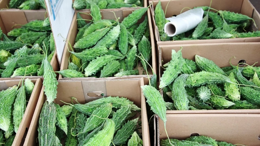 Karela, bitter gourd, on display on a market stall in the UK Royalty-Free Stock Footage #1089530211