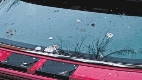 Bird Poop Droppings on Car Window and Chassis