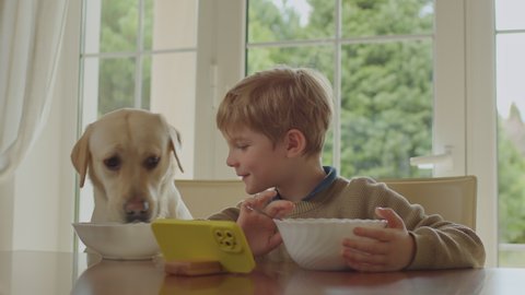 Kid eating meal with Labrador Retriever dog eating feed sitting at the table. Boy with his pet friend having meal together.