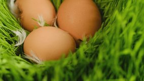 Chicken egg, rotation shot, Chicken fresh raw eggs.Healthy fresh food ingredients for breakfast. Animal products. Grocery. Chicken farm fresh eggs