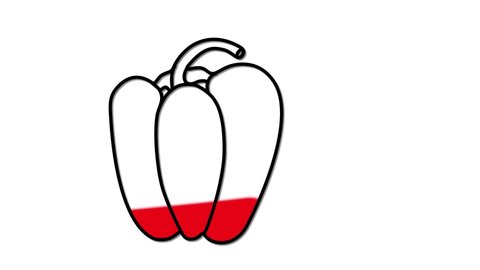 Bell pepper, paprika outline self drawing animation. Line art. White background. Bright red color vegetable