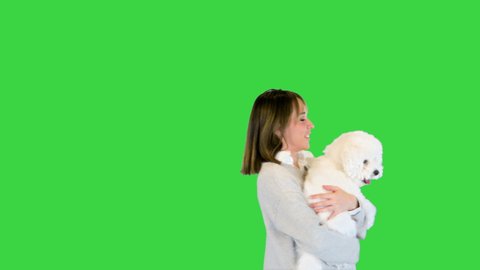 Smiling woman posing on camera with bichon frise on a Green Screen, Chroma Key.