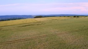 Panorama of countryside and farmland in the evening. Footage from a bird's eye view. Location place agrarian region of Ukraine, Europe. Cinematic drone shot. Filmed in UHD 4k video. Beauty of earth.